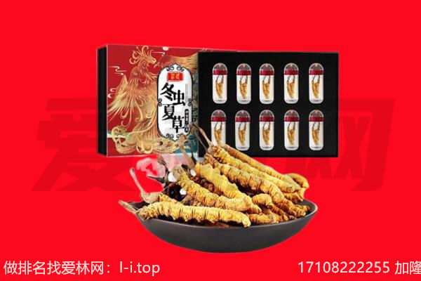 太原市晋源回收虫草.jpg